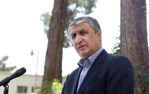 ورود رییس سازمان انرژی اتمی به وین