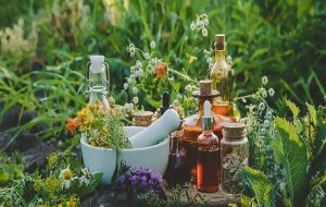 مصرف همزمان داروهای گیاهی و شیمیایی