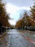 آغاز بارش برف و باران از روز یکشنبه