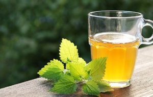 گزنه،بمب ویتامین D است